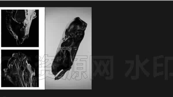 图片[3]-Houdini产品艺术频道timjdesign会员【订阅】-B站/公众号:特效向